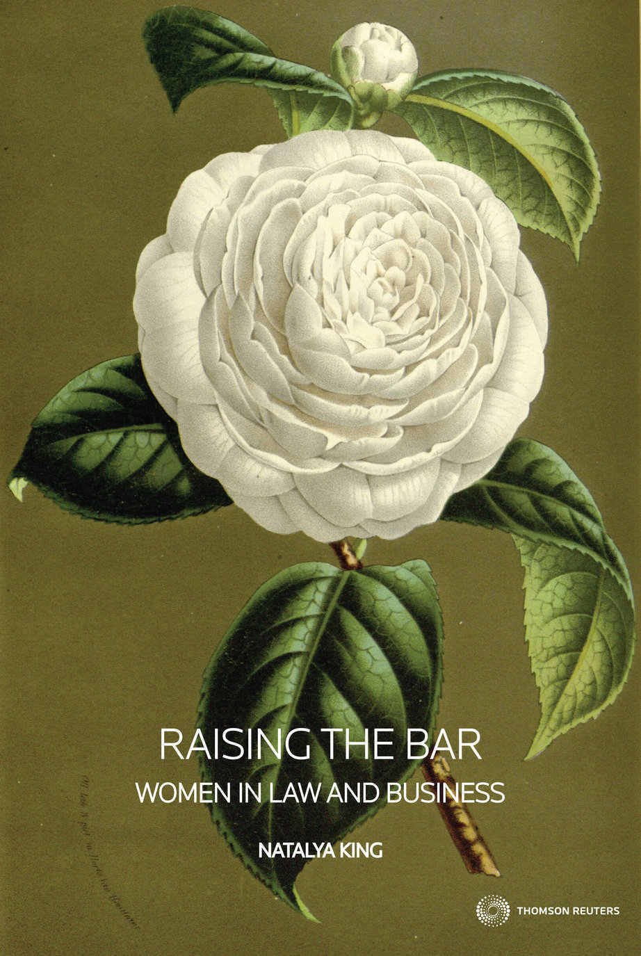 Raising the Bar: Women in Law and Business (Book)