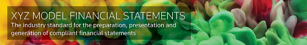 XYZ Model Financial Statements